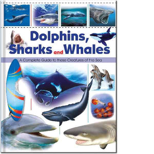 Dolphins Sharks & Whales